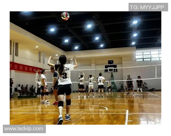 广州排球队的速度之道：探索排球运动的快速发展与战术创新