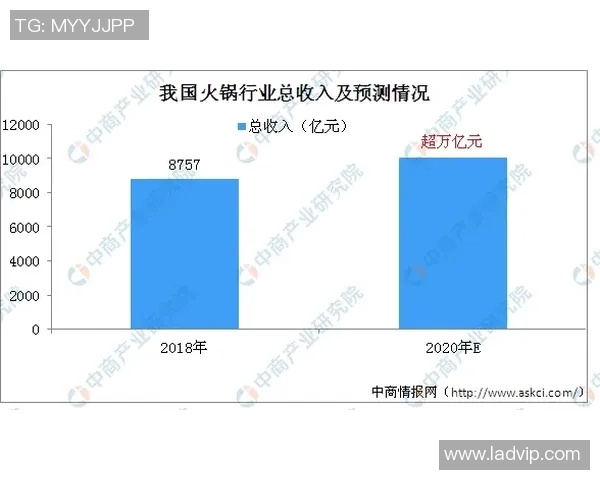 成都排球队在洲际杯中的实力展现与未来发展潜力分析