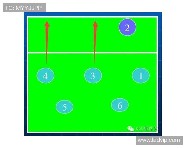 杭州排球队进攻策略分析与失误反思探讨